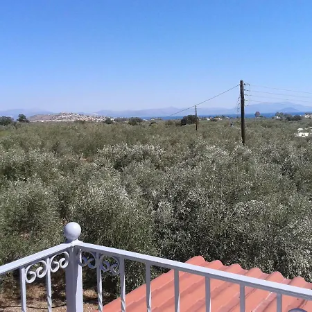 Faidra's Farm