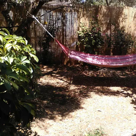 Willa Faidra's Farm
