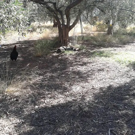 Faidra's Farm Willa *