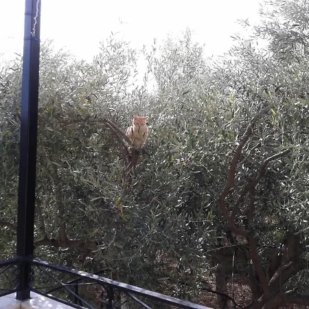 Faidra's Farm Villa
