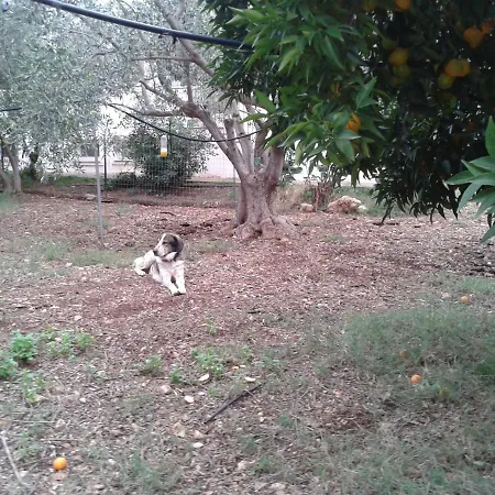 Faidra's Farm