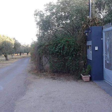 Faidra's Farm *